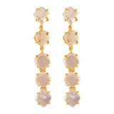 Fresh water pearl long Earrings