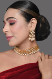Pearl beaded kundan studded Choker necklace with matching earrings